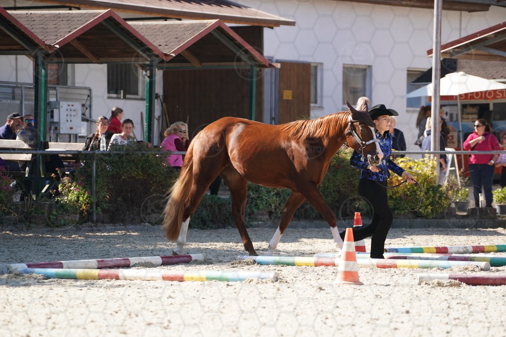s_A_907464.JPG